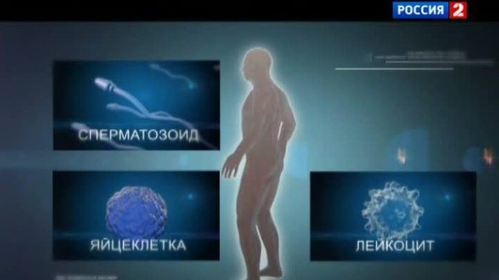 Радиоактивность