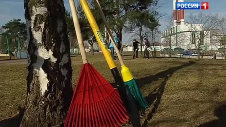 Около миллиона москвичей выйдут на субботник