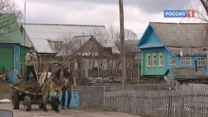 Мусульмане