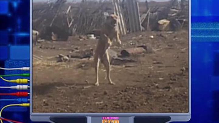 Эфир от 27.04.2014