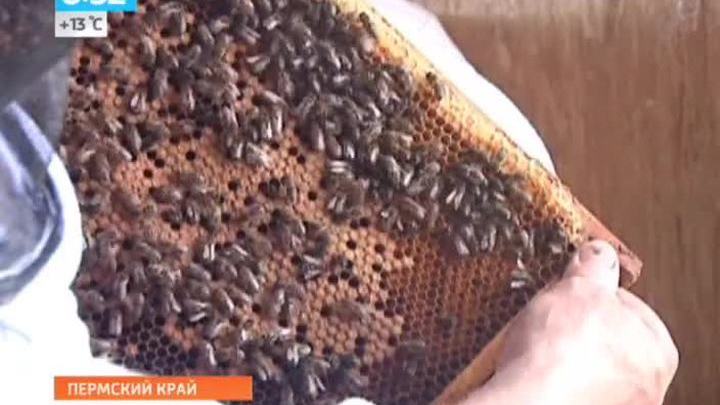 Эфир от 16.05.2014