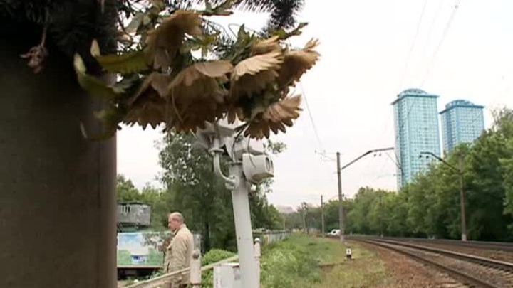Переход-убийца в Покровском-Стрешневе ждет новых жертв