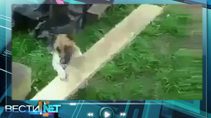 Эфир от 07.06.2014