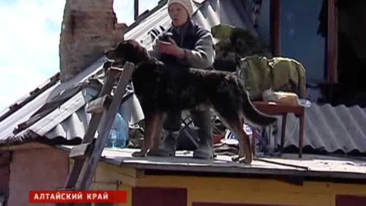 Паводок в Барнауле: вода подбирается к скотомогильникам и свалкам