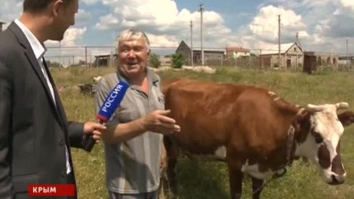 В Симферополе состоялась презентация организации "Единство Крыма"