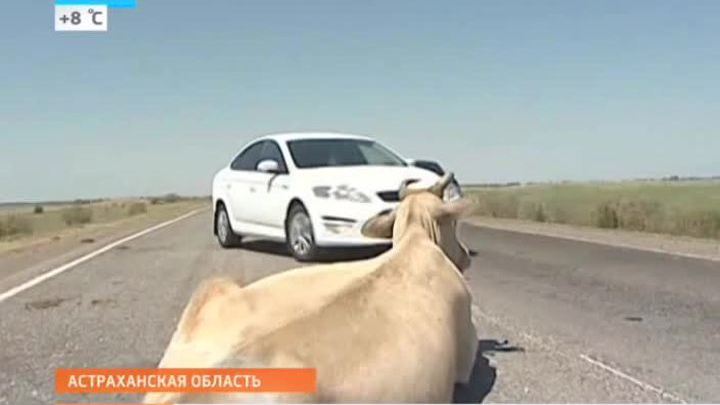 Эфир от 16.06.2014