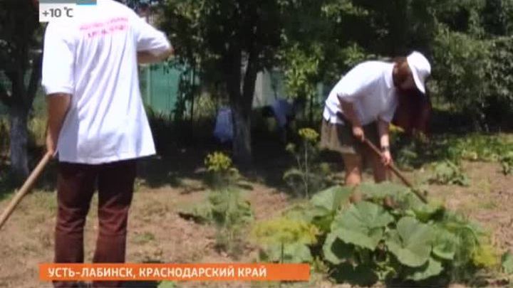 Волантеры