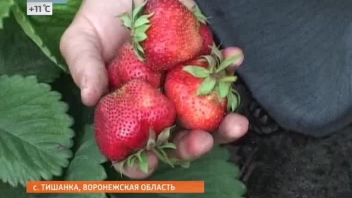 Эфир от 20.06.2014