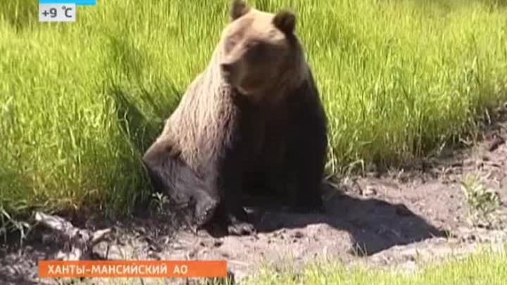 Эфир от 24.06.2014