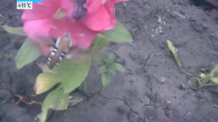 Эфир от 27.06.2014