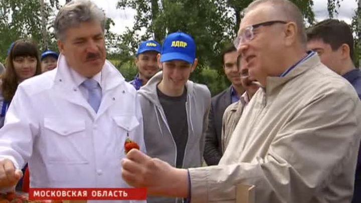 Жириновский совершил традиционный выезд на клубнику