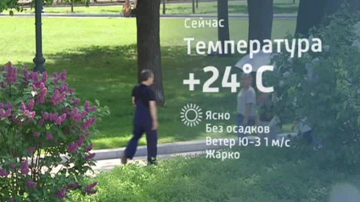Первый день июля подарит москвичам жару