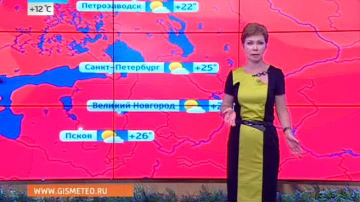 Эфир от 04.07.2014