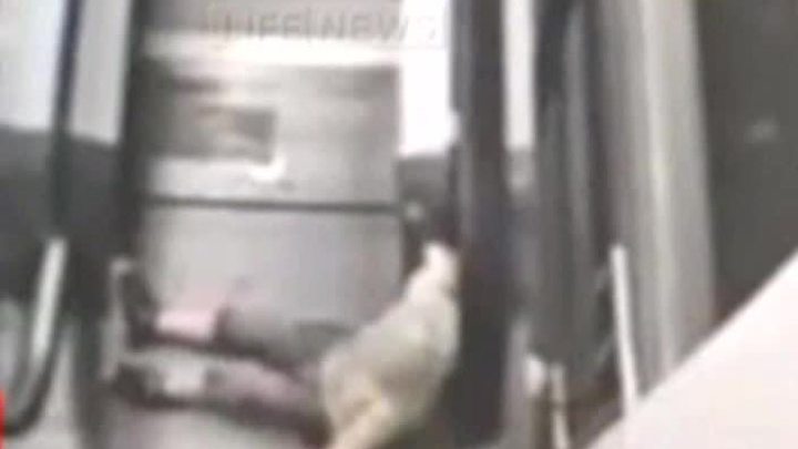 В торговом центре на юге Москвы руку ребенка затянуло в эскалатор