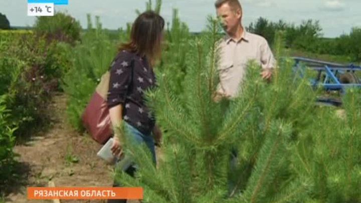 Нано железо