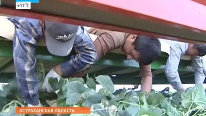 Техника для урожая