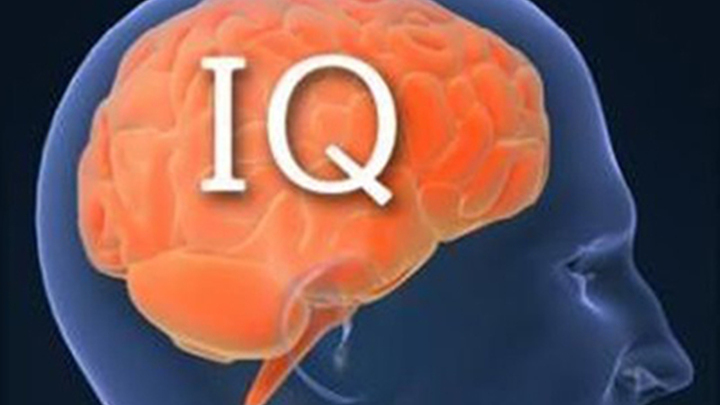 Миф об IQ