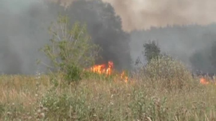 Вблизи МКАД на опушке леса горела сухая трава