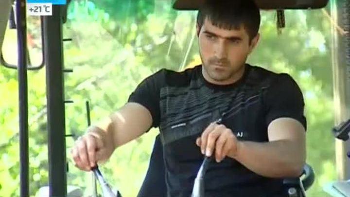 Мигранты