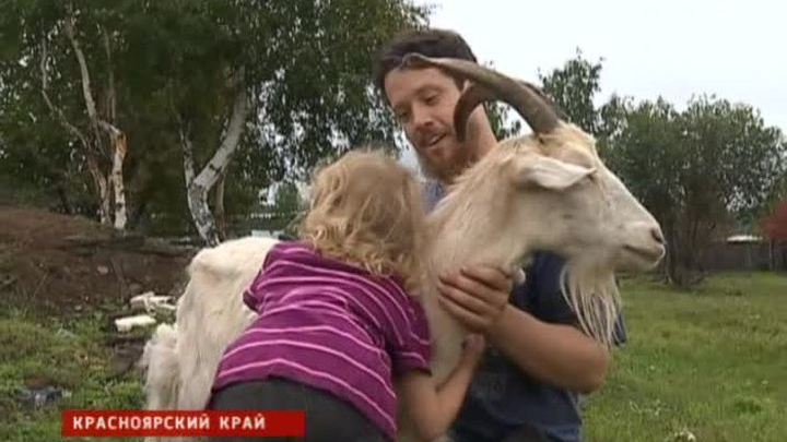 Эмбарго в помощь: фермеры расширяют производство