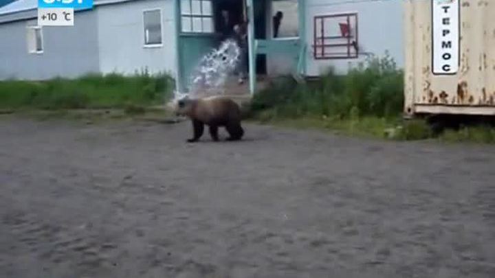 Эфир от 04.09.2014