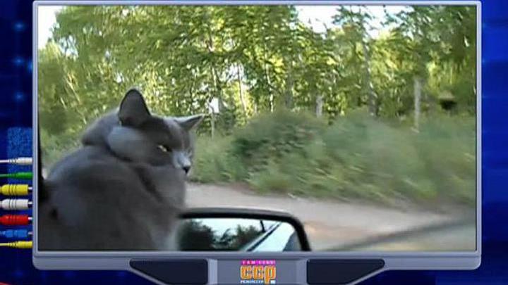 Эфир от 05.10.2014
