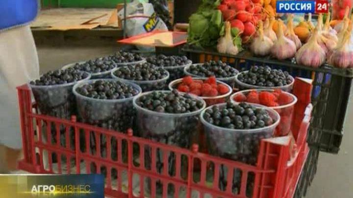 Эфир от 23.07.2011