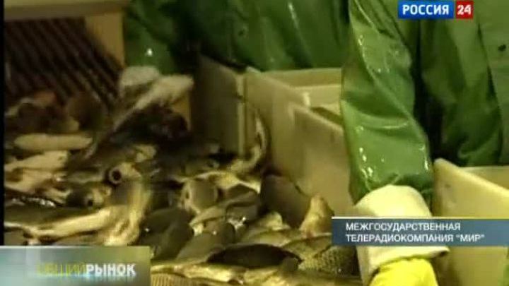 "Вести. Общий рынок" от 30 июля 2011 года