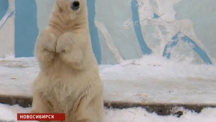 Эфир от 20.11.2014 (11:00)