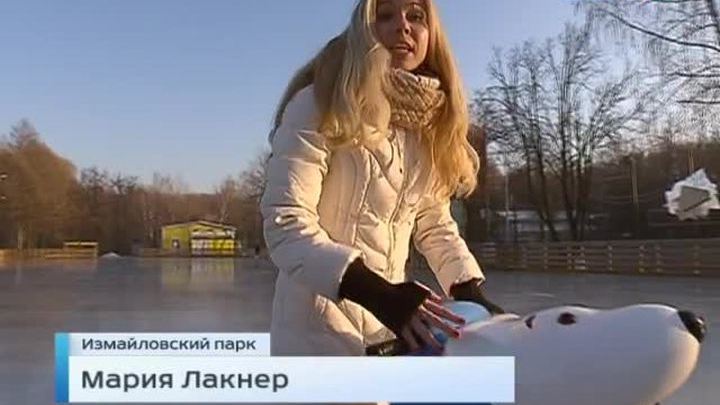 Устоять на льду помогут медведи и пингвины