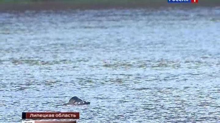 Эфир от 24.11.2014