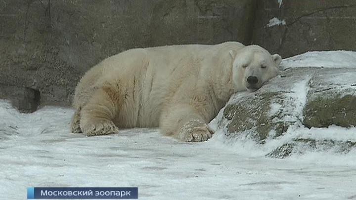 Эфир от 02.12.2014