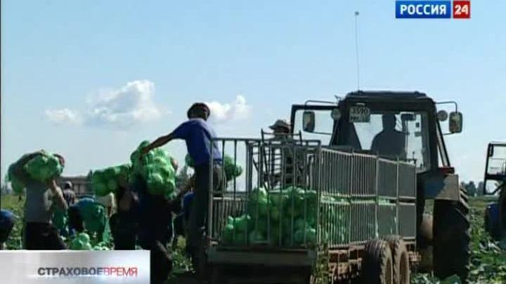 "Вести. Страховое время" от 20 августа 2011 года