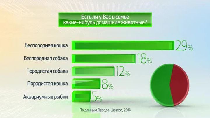 Россия в цифрах. Домашние животные