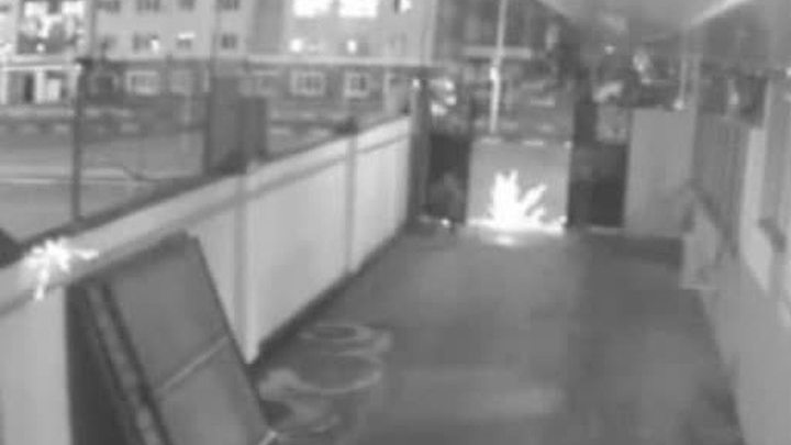 В Сети опубликовано видео спецоперации в грозненском Доме печати