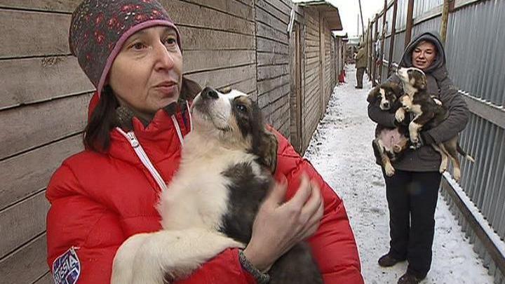Эфир от 25.12.2014 (14:30)