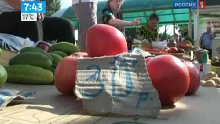 Утро России. Фрукты