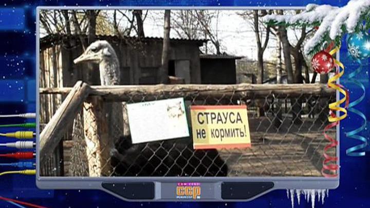 Эфир от 28.12.2014