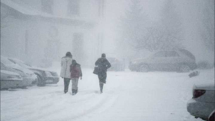 В Подмосковье в субботу ожидается ураганный ветер