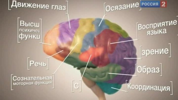 Что-то с памятью моей стало...