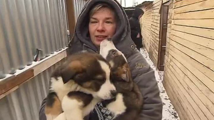 В Москве пройдет День добрых дел