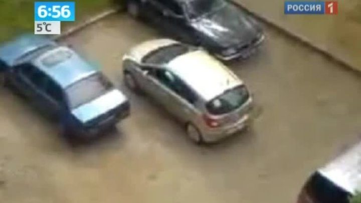 Парктроник: девайс для блондинок