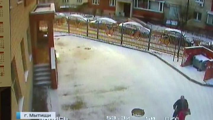 Мытищинский детсад подвергся газовой атаке неуравновешенной автоледи