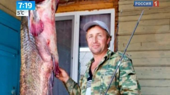 Белорусский рыбак  выловил сома размером с акулу