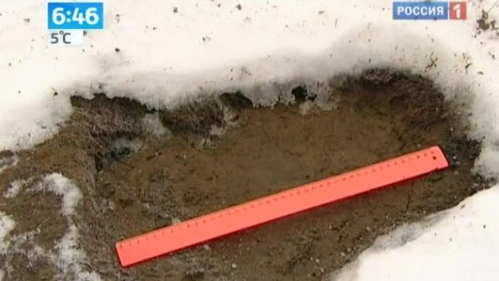 Ученые отправляются на поиски снежного человека