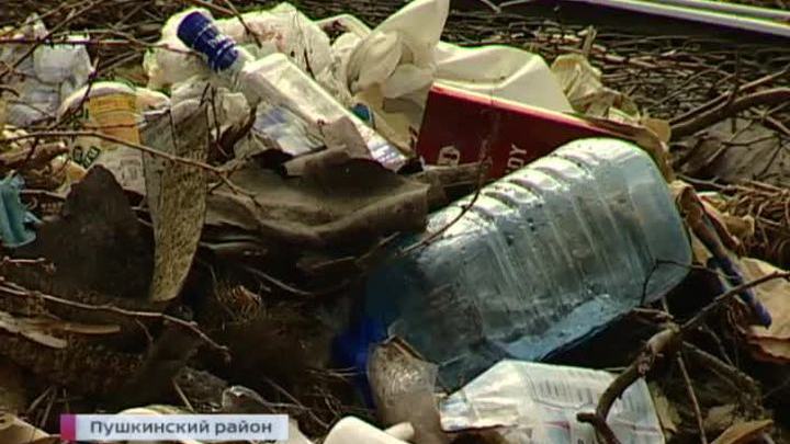Подмосковных дачников заставят платить за горы мусора возле участков