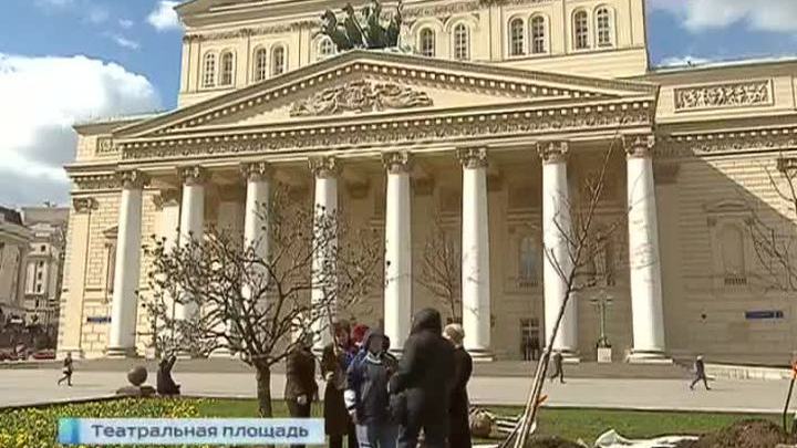 В сквере у Большого театра высадили молодые яблони