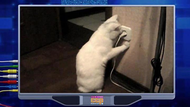 Эфир от 26.04.2015