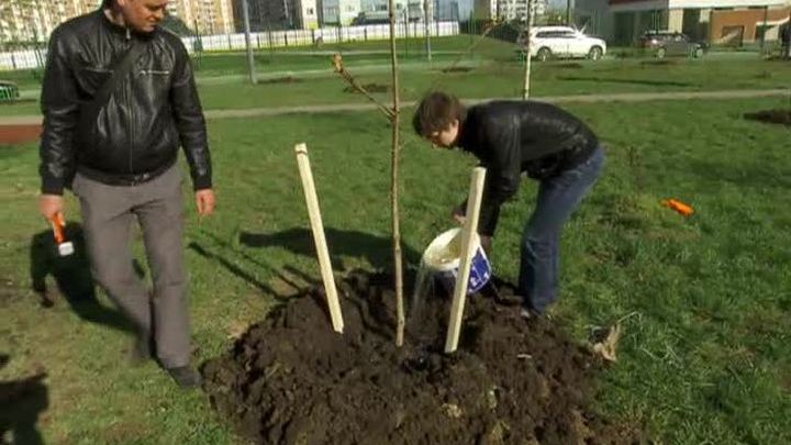 В Москве началась "Зеленая мобилизация"