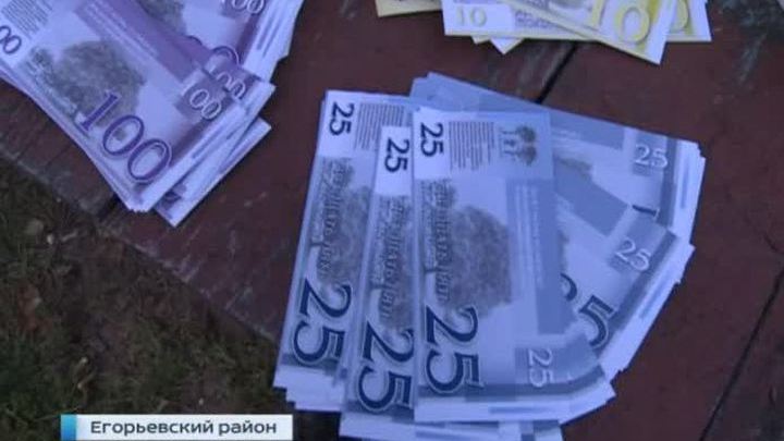 Прокуратура потребовала запретить игрушечную валюту фермера из Колионово